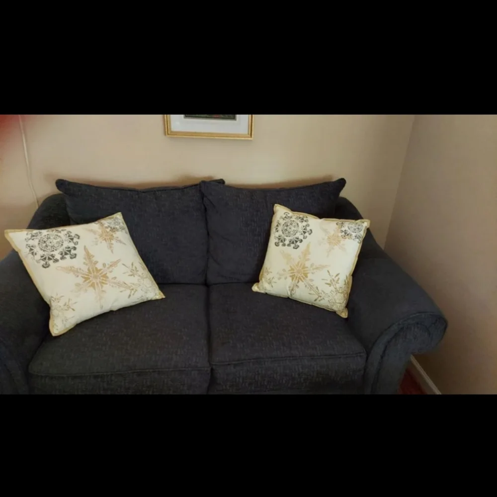 LIKE NEW Vintage Luxe Holiday Throw Pillow Set of 2! Gold Foil & Neutral